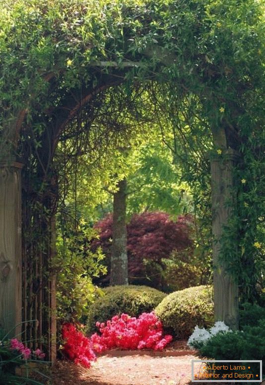 Arc cu plante în designul grădinii
