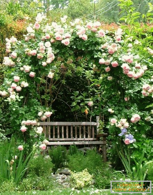 Un loc retras pentru a vă relaxa în grădină