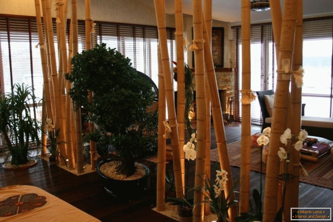 Partiția de bambus