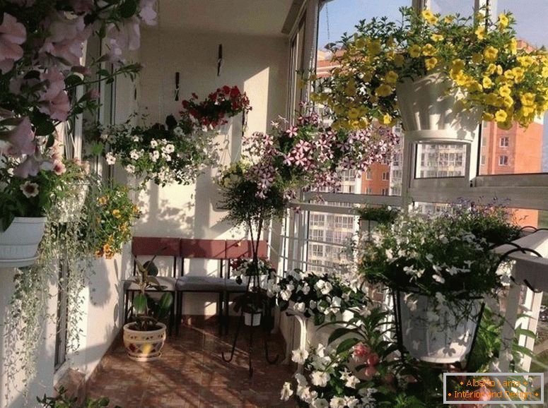 Balcon cu flori