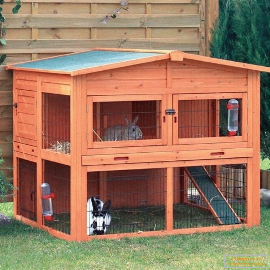 Casa pentru iepuri