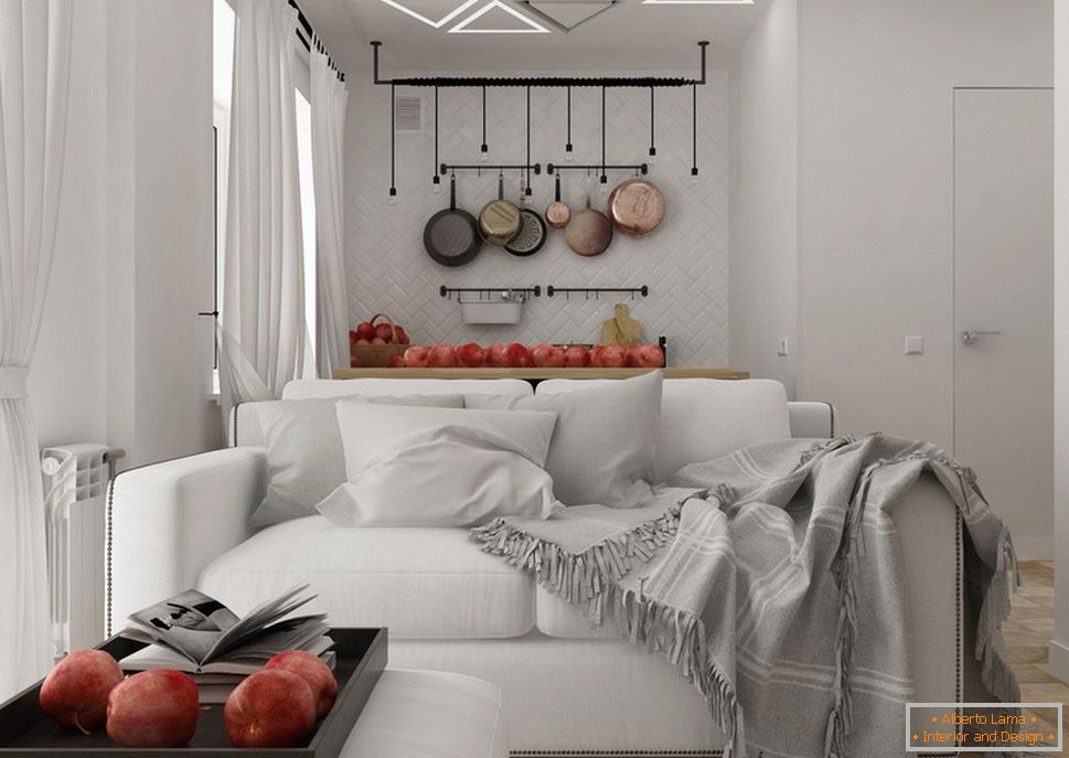 Proiectare apartament 30 mp m în alb și negru