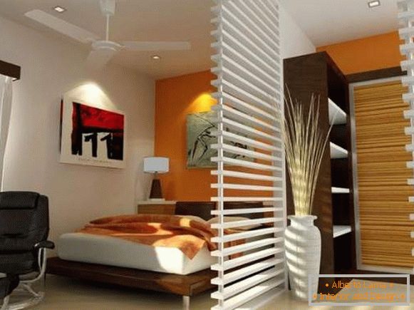 Design de apartament cu o cameră - cum se separă dormitorul cu o partiție