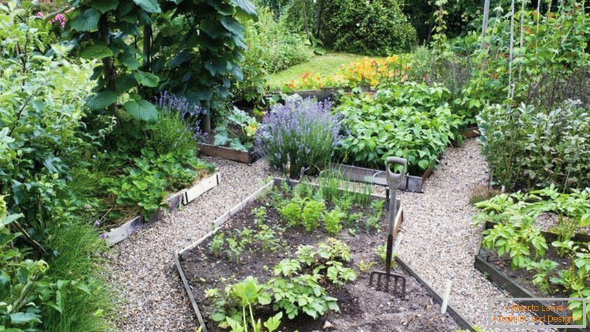 Grădină de legume pe teren de 12 hectare