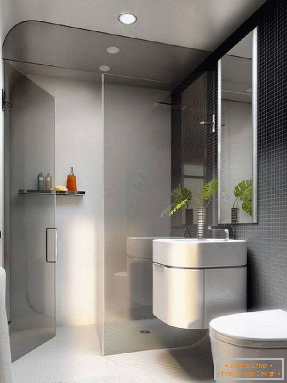 design de baie combinat cu toaletă, fotografie 12
