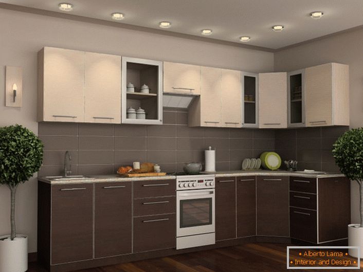 Setul de bucătărie wenge, în combinație cu elementele decorate în mod corespunzător, face camera elegantă și elegantă.