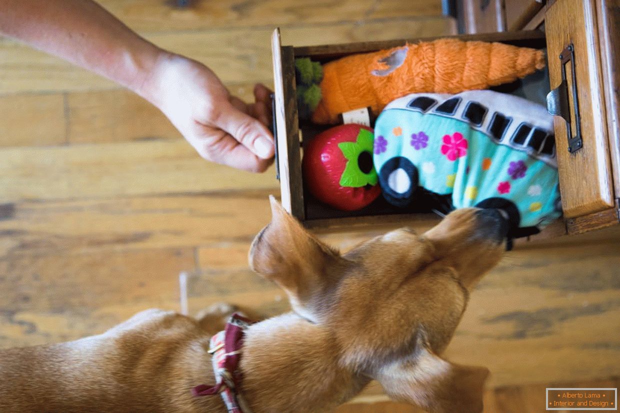 Cutie cu jucării pentru câini
