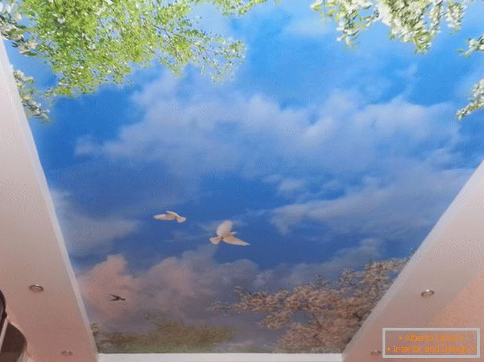 Plafoanele întinse cu imprimarea fotografiilor sunt potrivite în proiectarea oricărei încăperi. O imagine armonioasă a cerului albastru cu porumbei albi va arăta deosebit de atractivă în camera de oaspeți.