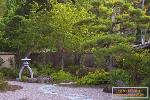 Poteci de grădină - fotografie în stil japonez