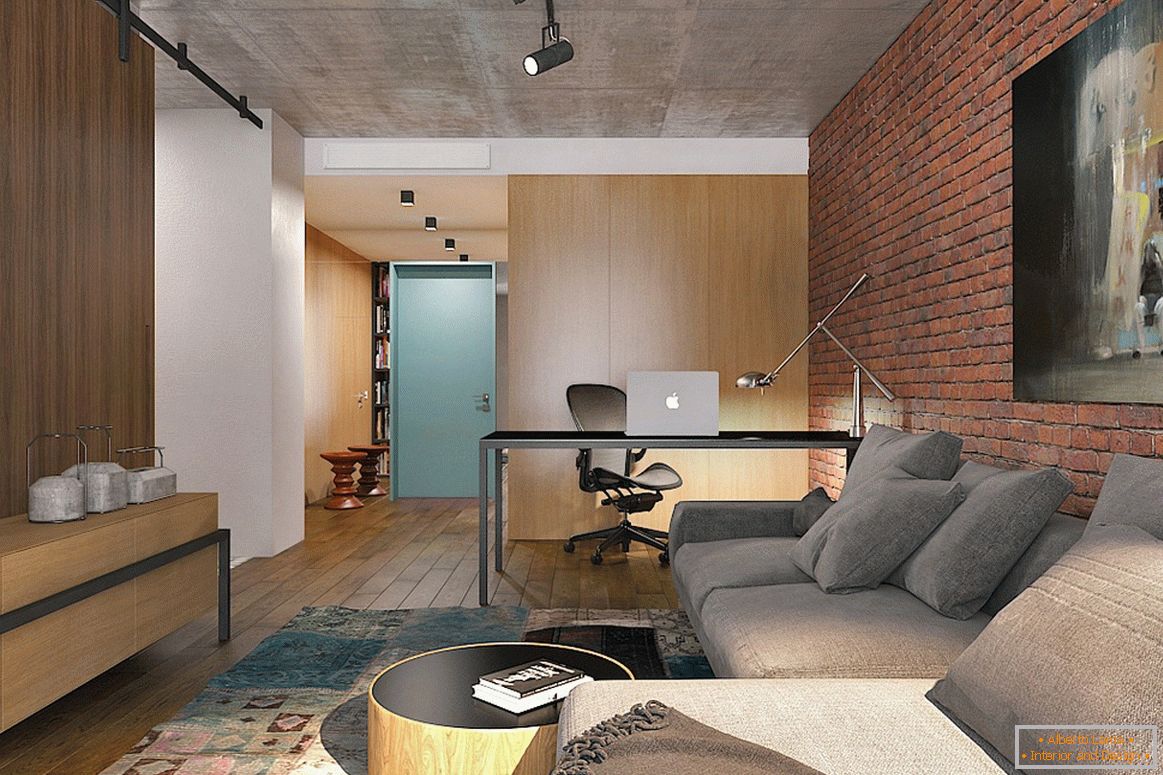Interiorul apartamentului studio de la Lugerin Architects - fotografie 1
