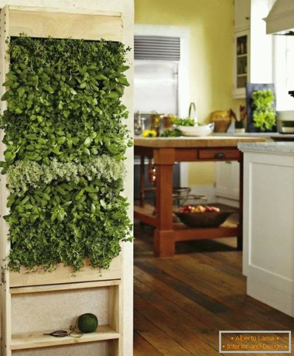 Plante verzi în bucătărie