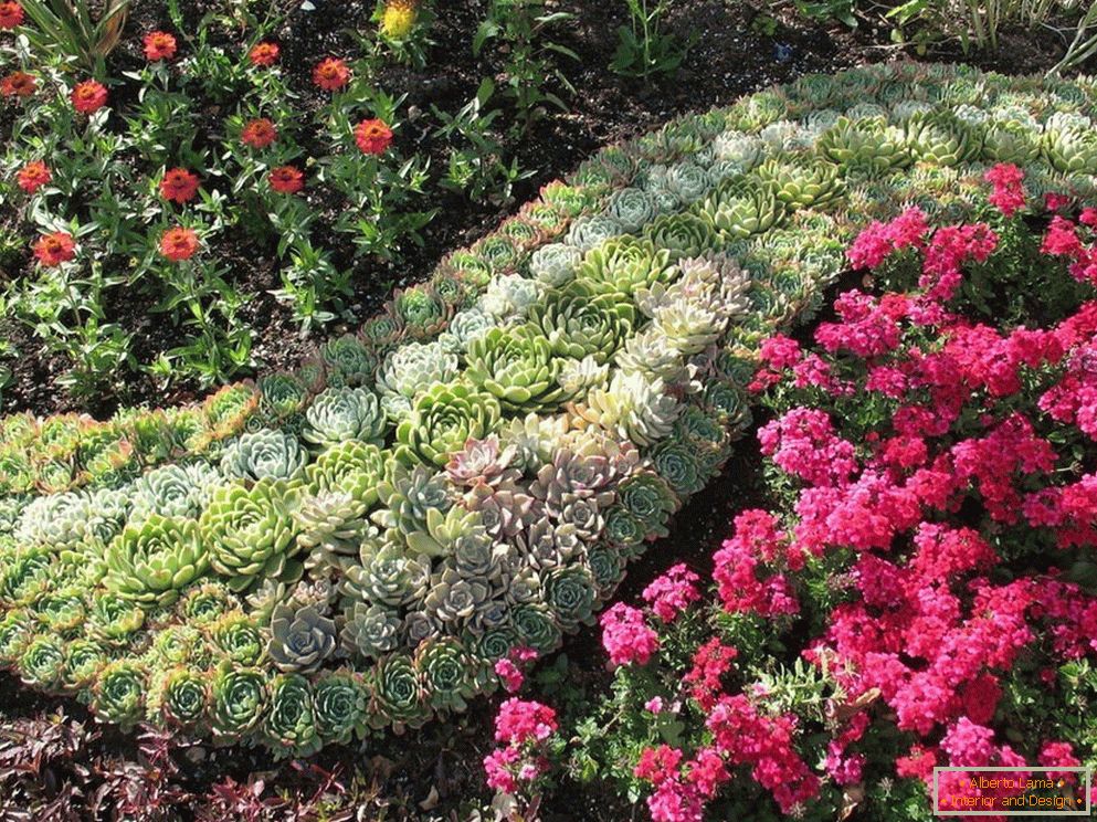 Decorarea unei grădini de flori