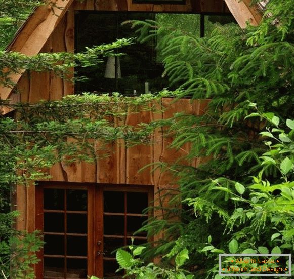 Casa mică pădure (fotografie), США