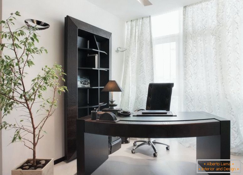 design_cabinet_in apartment_0