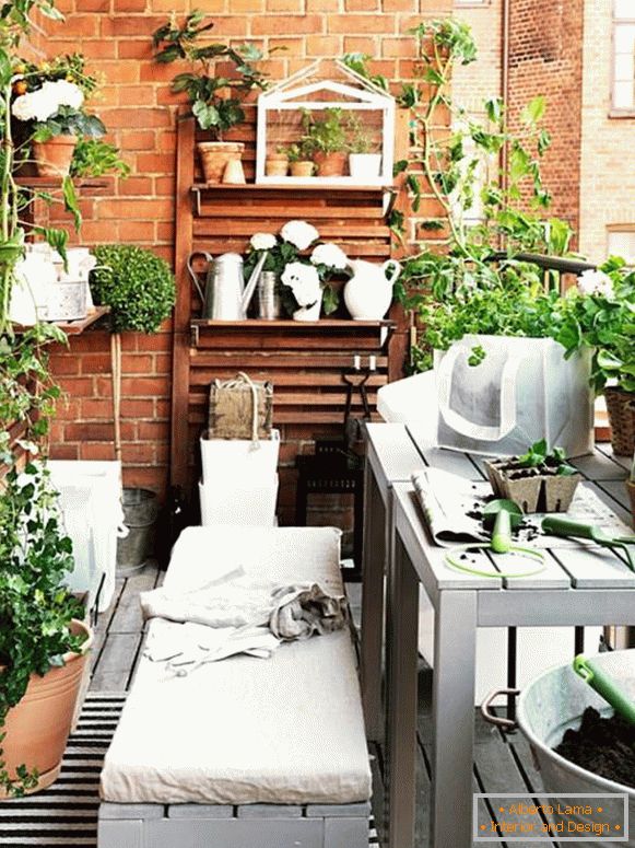 Balcon cu plante de interior