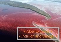 Un lac roșu neobișnuit în nordul Canadei