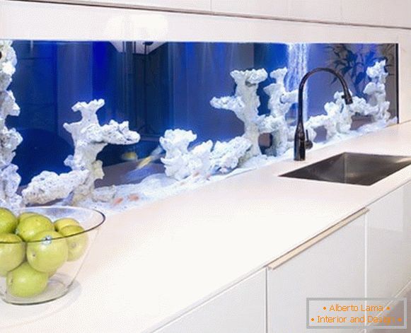 Un acvariu cu corali în bucătărie