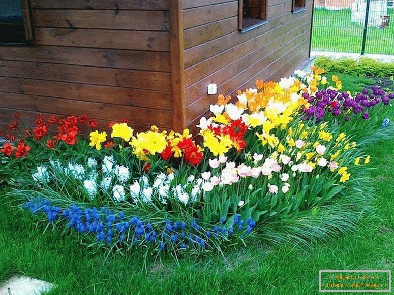 Grădina din față cu flori strălucitoare în fața casei