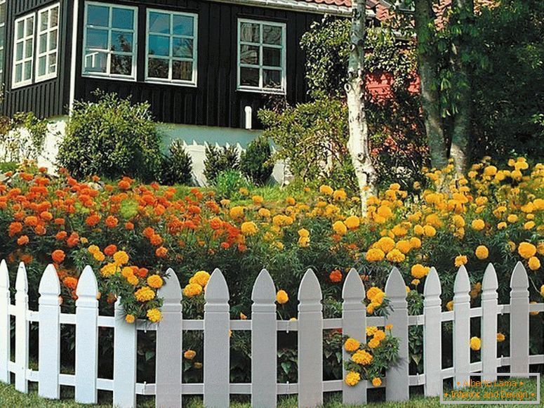 Grădină frontală în fața casei cu gard din plastic