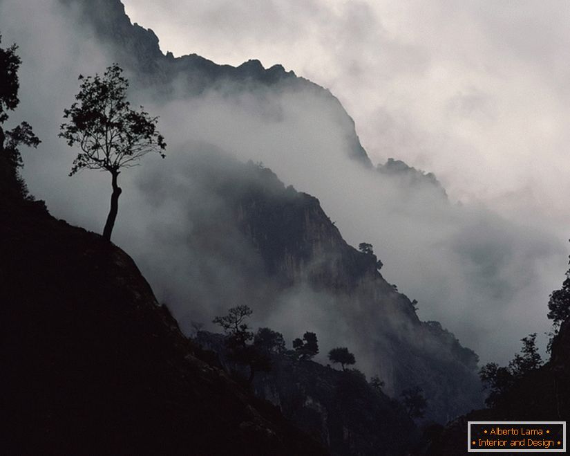 Fotografii alb-negru