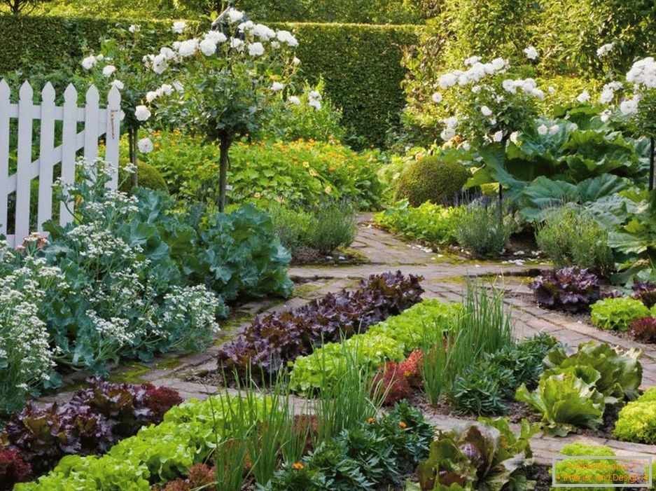 Grădină și zonă de grădină