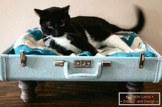 Locul pentru o pisică dintr-o valiză
