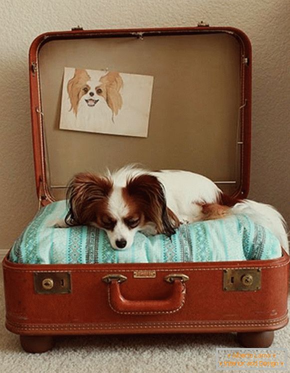 Locul pentru un câine dintr-o valiză