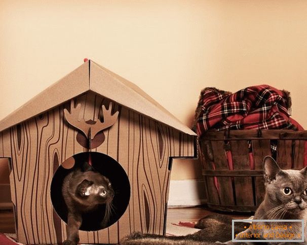 Cabana originala pentru o pisica