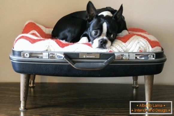 Locul pentru un câine dintr-o valiză