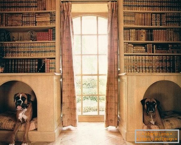 Cabine pentru câini în rafturi de carte