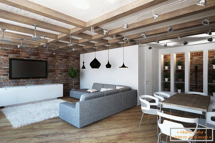 Designul apartamentului studio în stil loft este notabil pentru practicabilitatea acestuia. Un minim de mobilier face camera spațioasă și luminată.