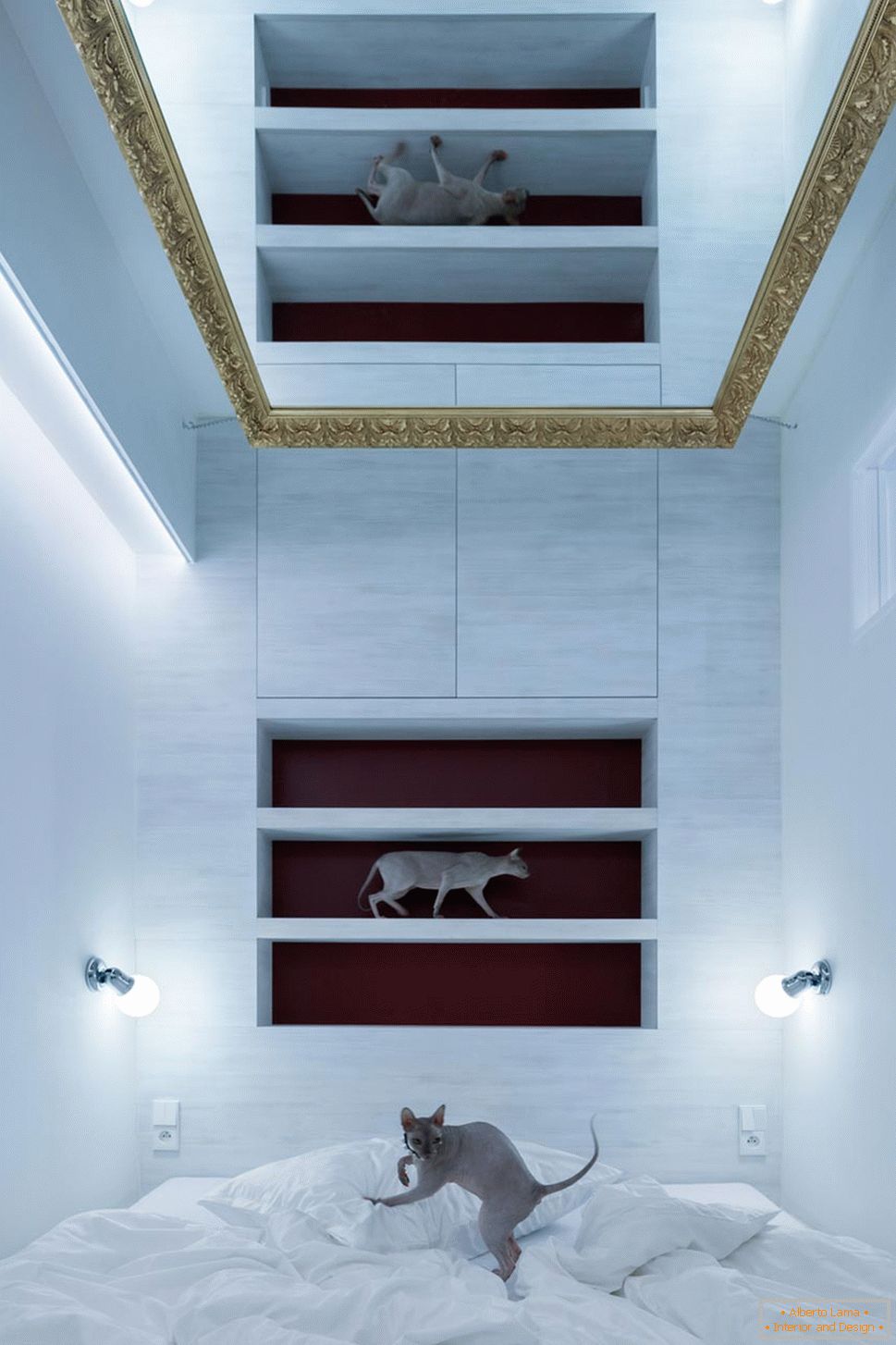 Design modern al unui apartament mic - pisici în interior