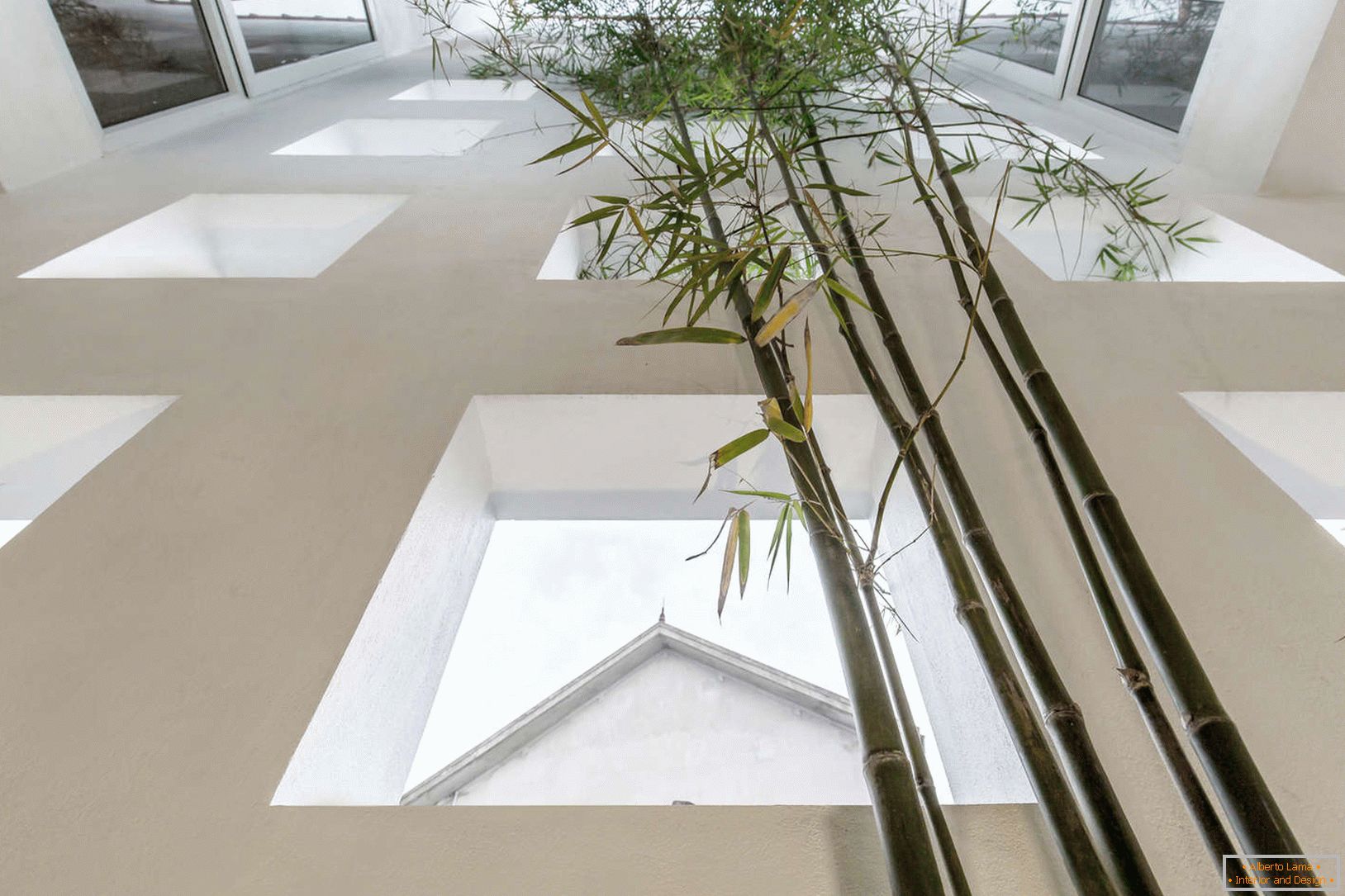 Bambus într-o casă îngustă din beton