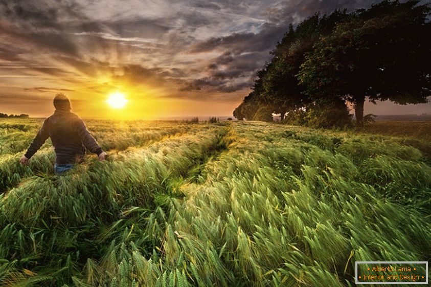 Un bărbat într-un câmp de grâu, fotograful Paul Wozniak