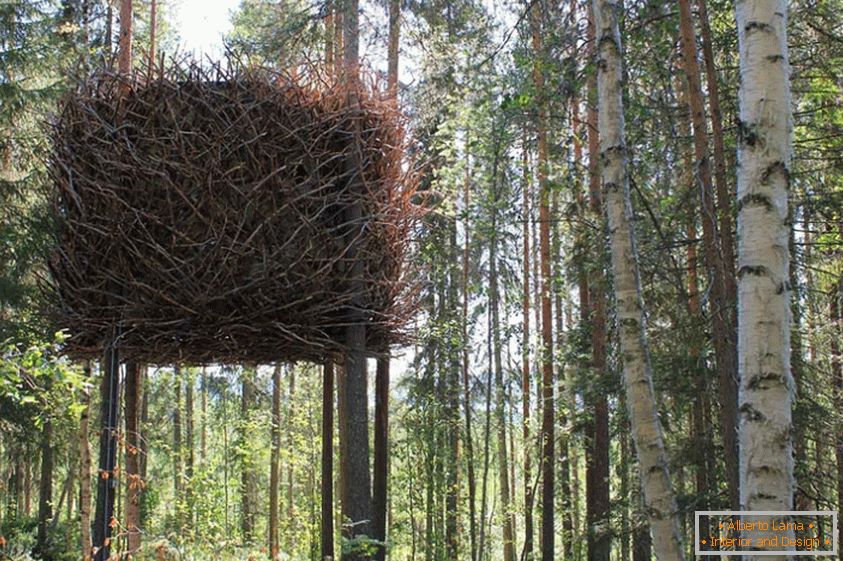 Bird's Nest Tree House (Suedia)
