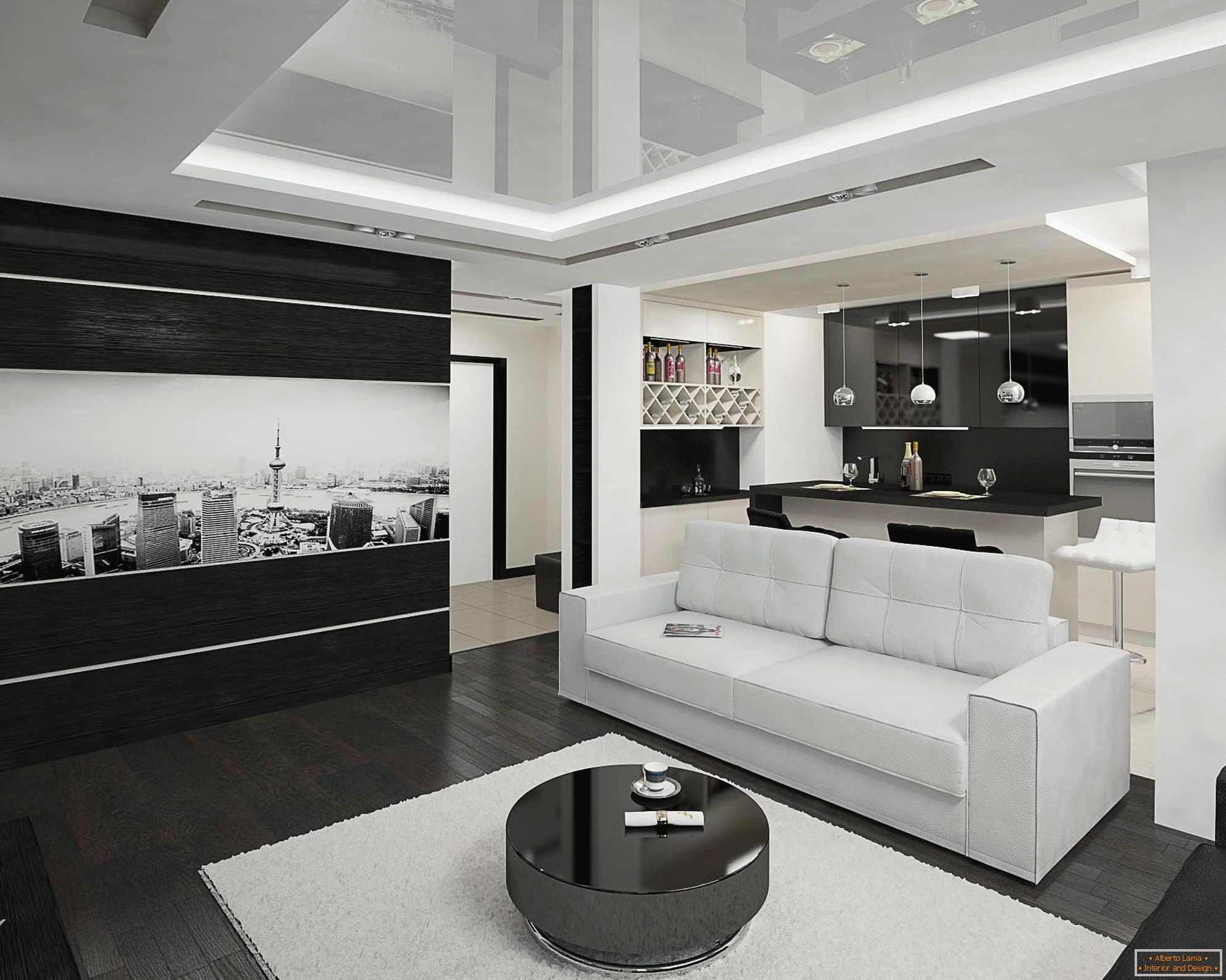 Bucătărie alb-negru și living cameră de interior pe 20 de metri pătrați