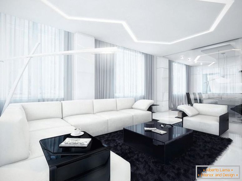 Cameră de zi alb-negru - 55 de fotografii de soluții