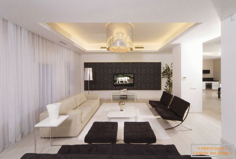 Cameră de zi alb-negru - 55 de fotografii de soluții