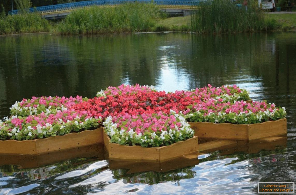 Floare cu flori plutitoare