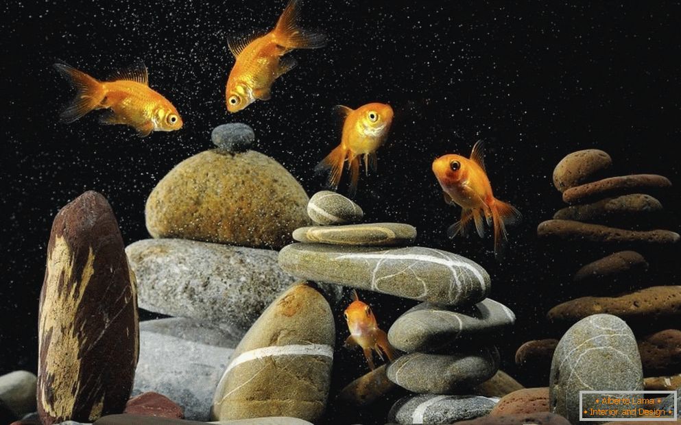 Decorarea acvariului cu pietre