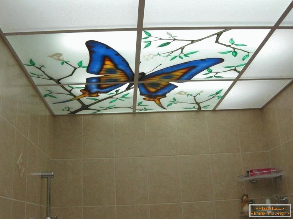 Fluture pe tavan