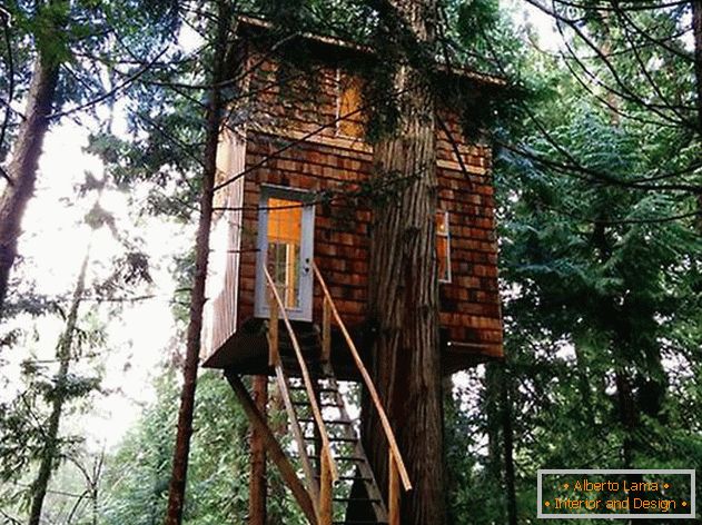 O casă pe un copac cu o scară. Fotografie 1