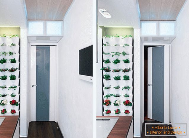 Plante interioare în design de bucătărie