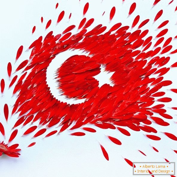 Steagul Turciei din petale de flori