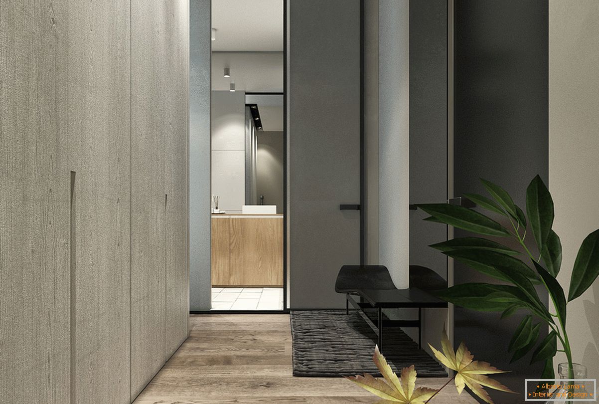 Proiectarea unui coridor pentru un mic apartament în stil scandinav - fotografie 2