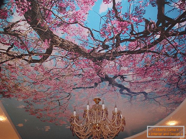 Blossoming flori de cires sunt adesea folosite de designeri moderne pentru a decora plafoane. Soluția reală de înregistrare a unei camere de oaspeți sau a unei săli.