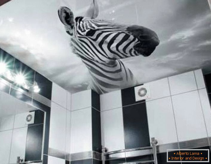 O soluție neobișnuită pentru decorarea unei băi negre și albe este imaginea unei zebre pe tavane întinse cu imprimare foto.