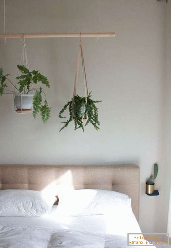 plante în interiorul unui dormitor, fotografie 27