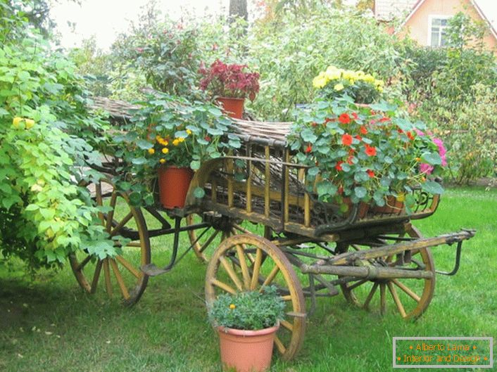 Paturile originale de flori în stilul țării pot fi făcute dintr-un cărucior vechi sau dintr-o bicicletă inutilă.