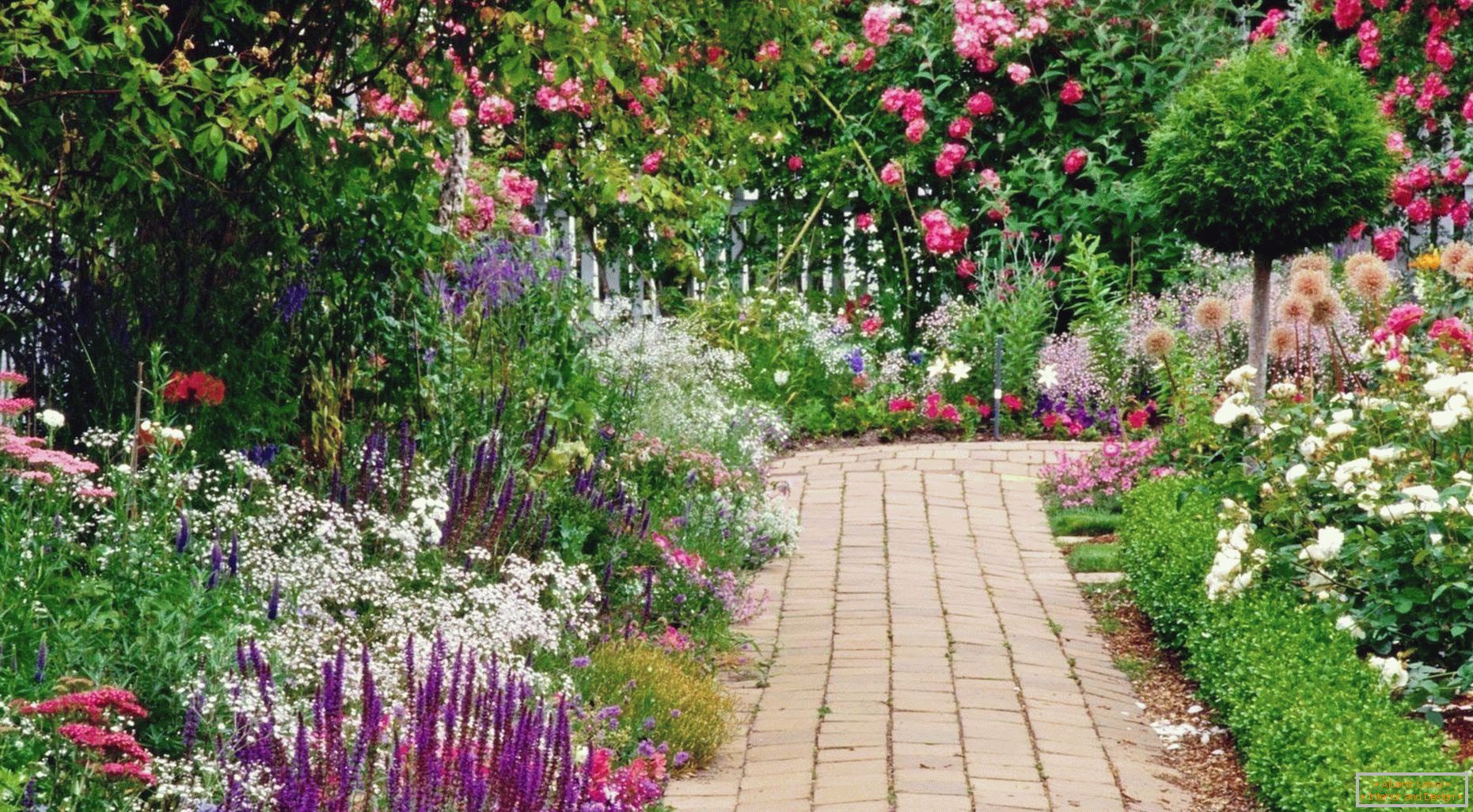 Calea din grădină